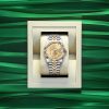 Rolex Sky-Dweller, 42mm, Oystersteel and 18k Yellow Gold, Champagne, Jubilee,Ref# 336933-0002