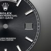 Rolex Day-Date 40 Platinum Ref# 228396TBR-0024